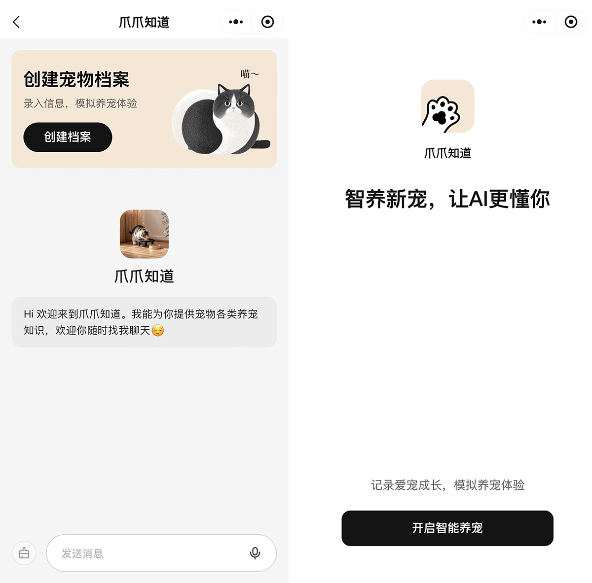 爪爪知道